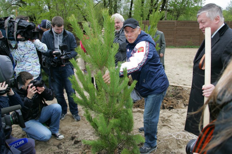 Посадили дерево победы