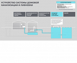 Фото: Агентство городских новостей 